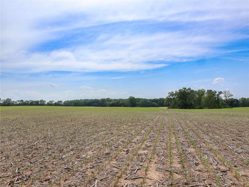 Tract 2 US 42, Xenia Township, OH 45385 Photo 23