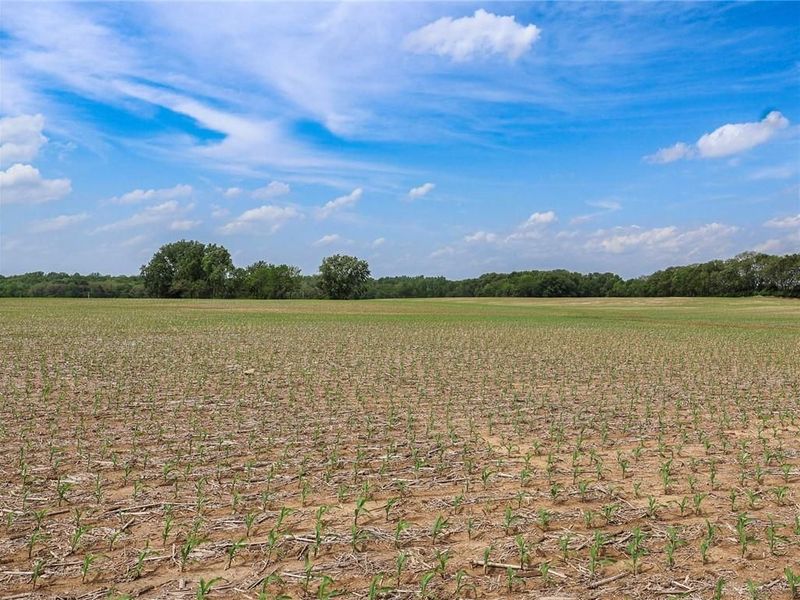 Tract 2 US 42, Xenia Township, OH 45385 Photo 6