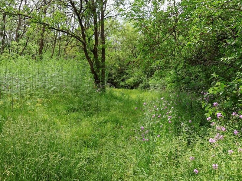 Tract 1 US 42, Xenia Township, OH 45385 Photo 15