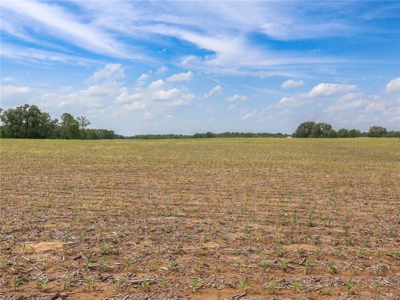 Tract 1 US 42, Xenia Township, OH 45385 Photo 18