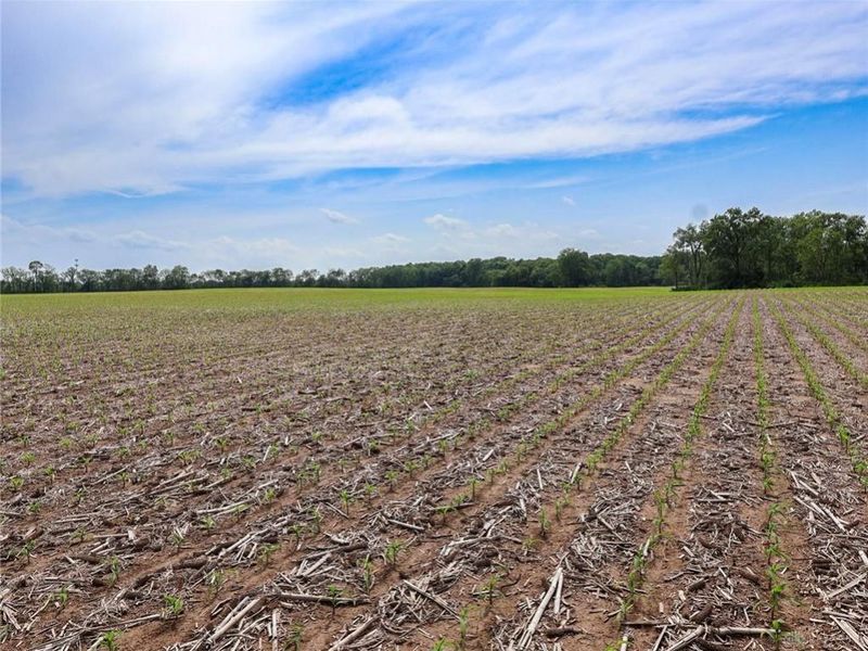 Tract 1 US 42, Xenia Township, OH 45385 Photo 7