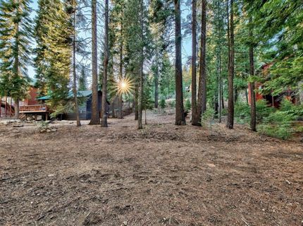 11939 Rhineland Avenue, Truckee, CA 96161 Photo
