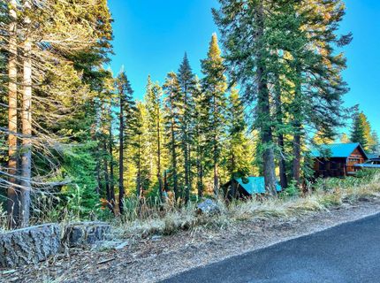 11939 Rhineland Avenue, Truckee, CA 96161 Photo