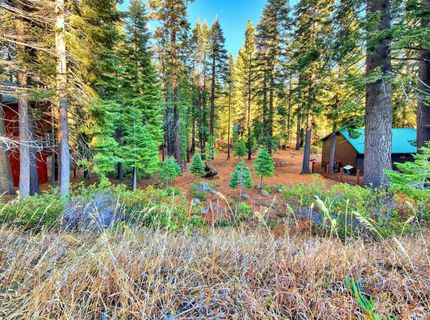 11939 Rhineland Avenue, Truckee, CA 96161 Photo
