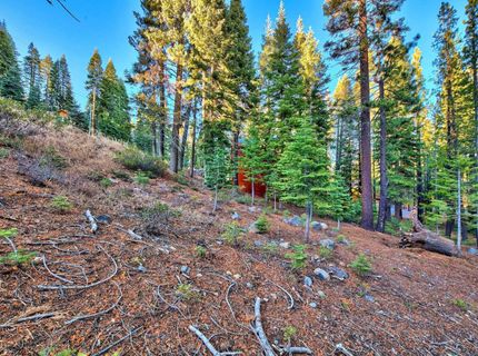 11939 Rhineland Avenue, Truckee, CA 96161 Photo