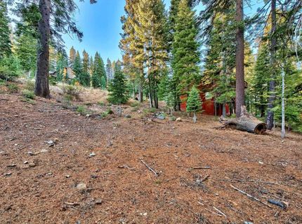 11939 Rhineland Avenue, Truckee, CA 96161 Photo