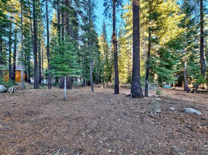 11939 Rhineland Avenue, Truckee, CA 96161 Photo