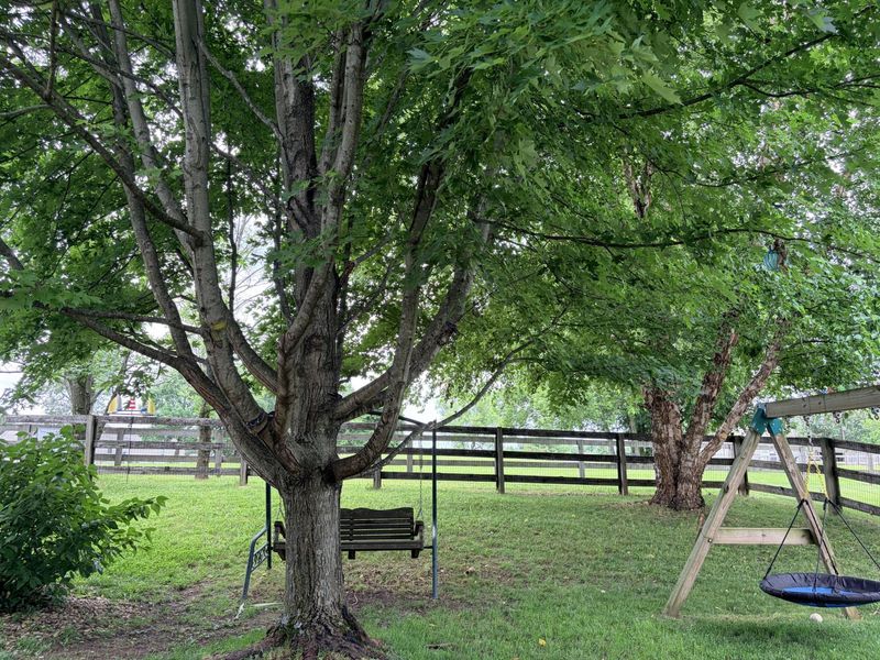 3261 Campaign Drive, Hebron, KY 41048 Photo 30
