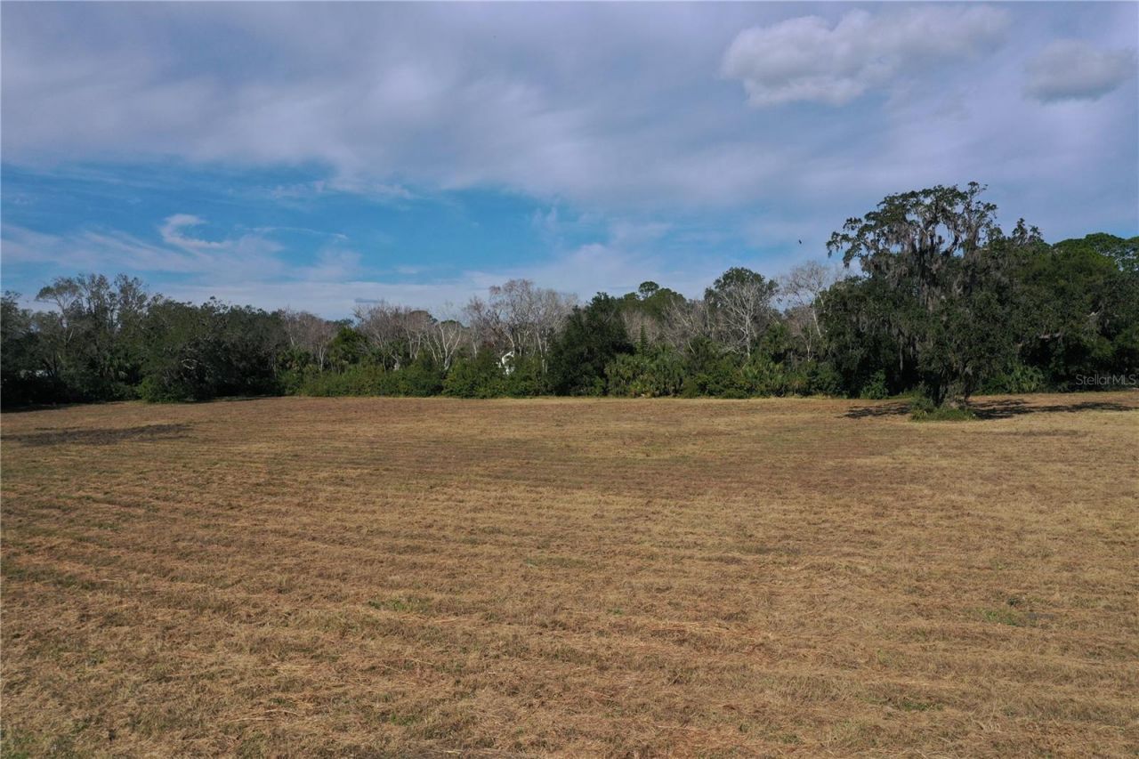 4558 S Ridgewood Avenue , Edgewater, FL 32141 Photo