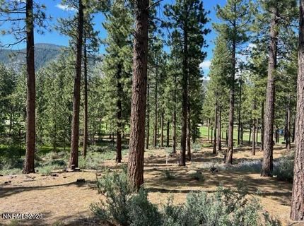 191 Cartwright Court, Lot #246, Carson City, NV 89705 Photo