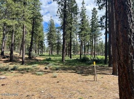 191 Cartwright Court, Lot #246, Carson City, NV 89705 Photo