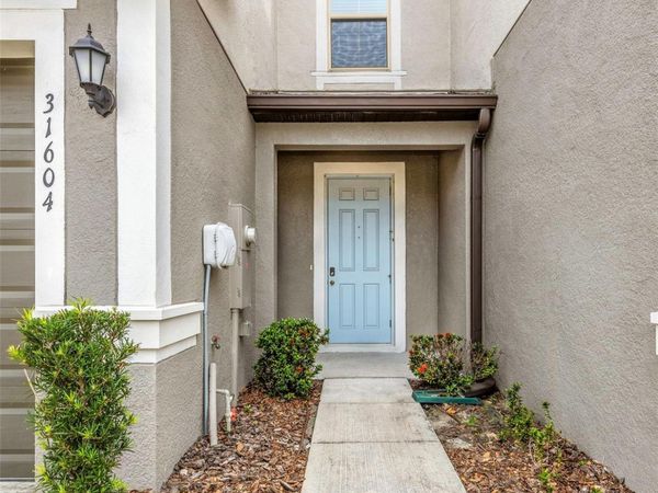 31604 BLUE PASSING LOOP , WESLEY CHAPEL, FL 33545