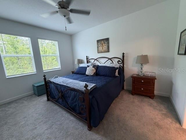 9760 Minnow Ray Drive , Land O Lakes, FL 34638 Photo