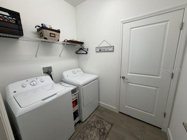 9760 Minnow Ray Drive , Land O Lakes, FL 34638 Photo