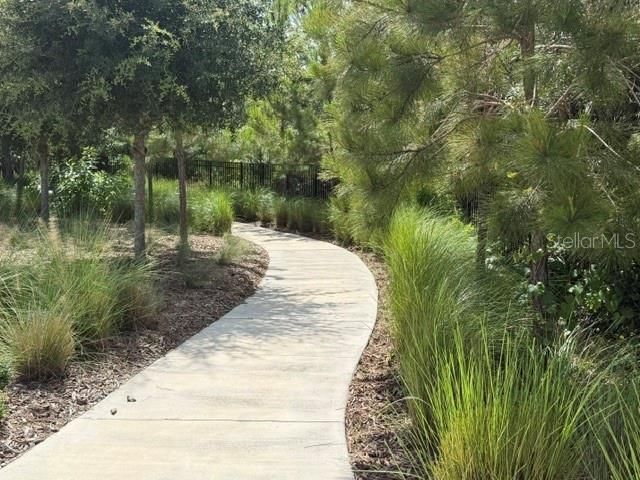 9760 Minnow Ray Drive , Land O Lakes, FL 34638 Photo