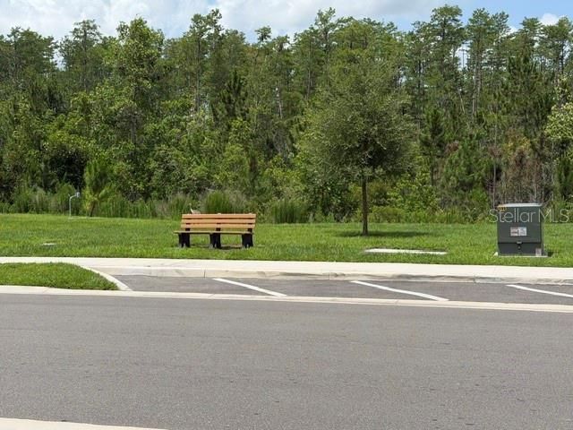 9760 Minnow Ray Drive , Land O Lakes, FL 34638 Photo