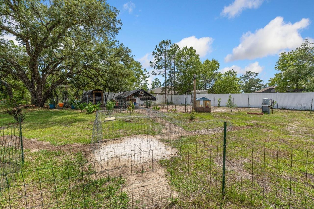 12182 Pioneer Avenue, Weeki Wachee, FL 34614 Photo