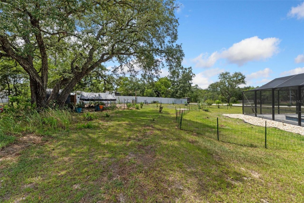12182 Pioneer Avenue, Weeki Wachee, FL 34614 Photo