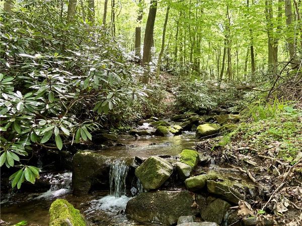 Lot 1C Cottonwood Rd , Acme, PA 15610
