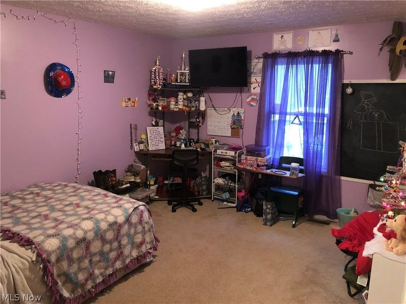 78560 Kinsey Orchard (Township Rd 111) Road, Freeport, OH 43973 Photo 25