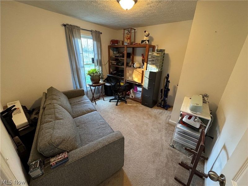 78560 Kinsey Orchard (Township Rd 111) Road, Freeport, OH 43973 Photo 28