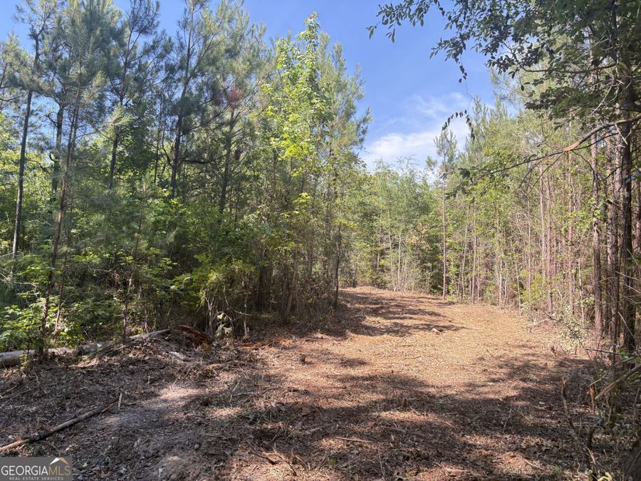 Property Image 8