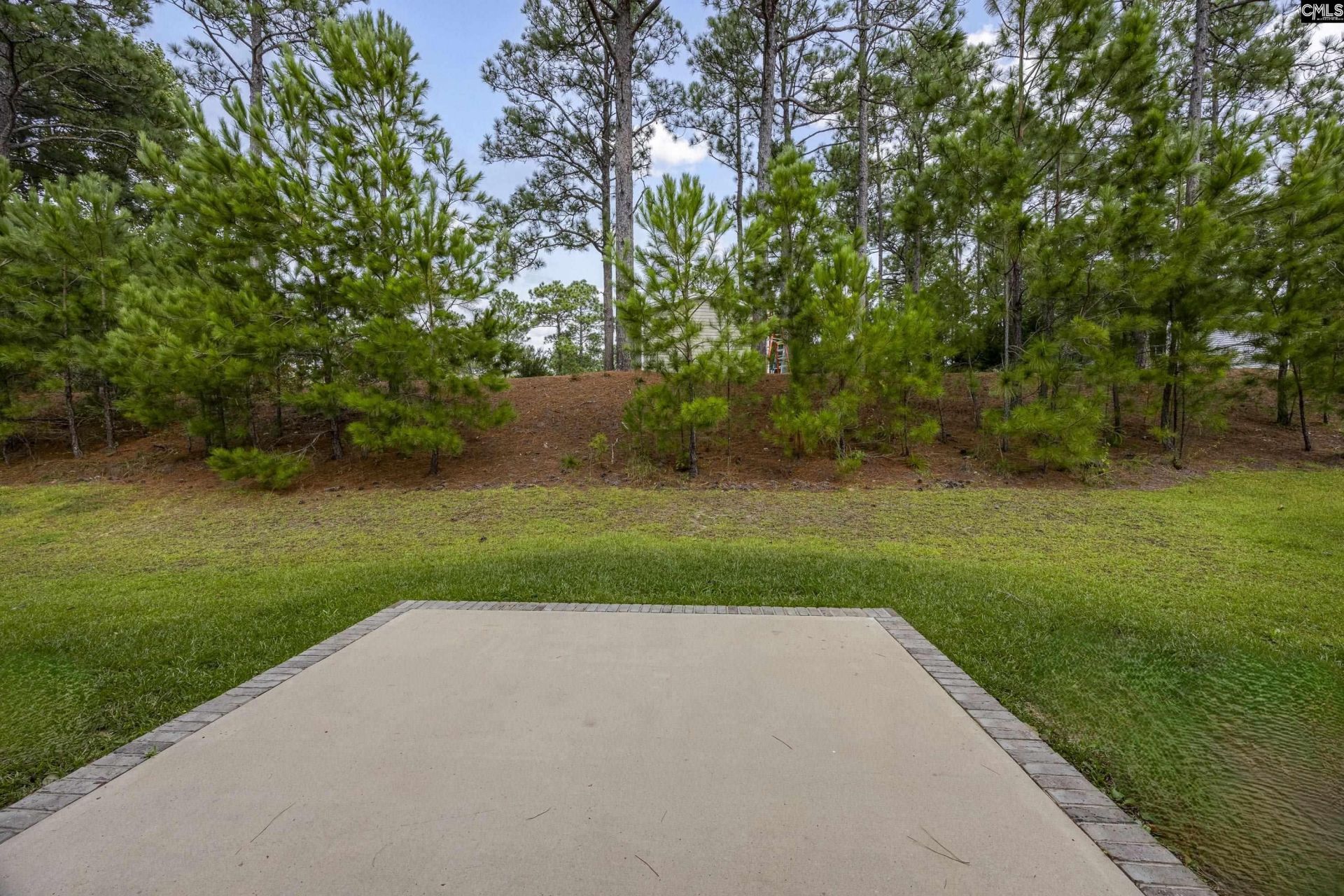 205 Long Iron Court  Photo 31