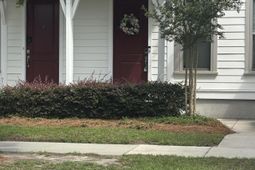 224 Oak Park Street photo 4