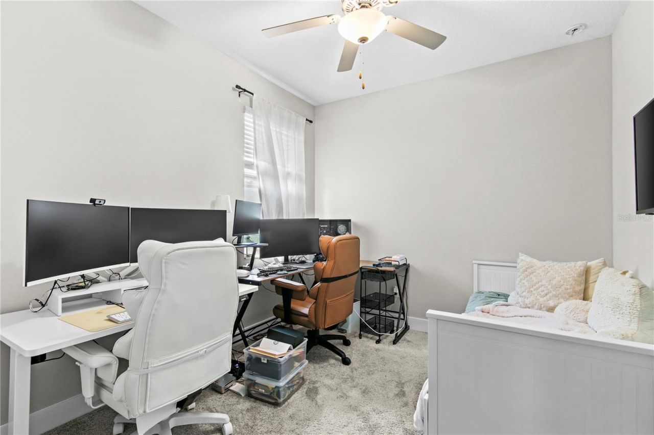 9890 Red Bay Loop, Land O Lakes, FL 34637 Photo