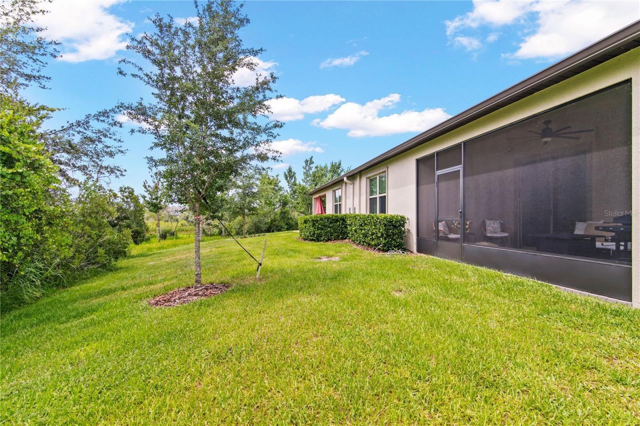 9890 Red Bay Loop, Land O Lakes, FL 34637 Photo