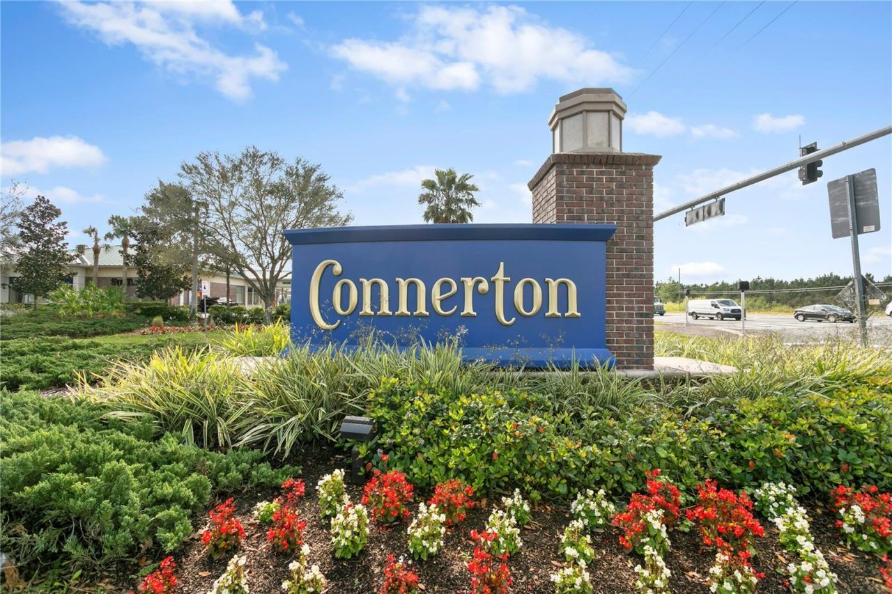 9890 Red Bay Loop, Land O Lakes, FL 34637 Photo