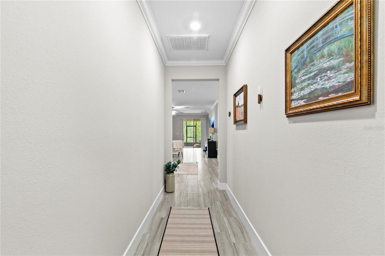 9890 Red Bay Loop, Land O Lakes, FL 34637 Photo