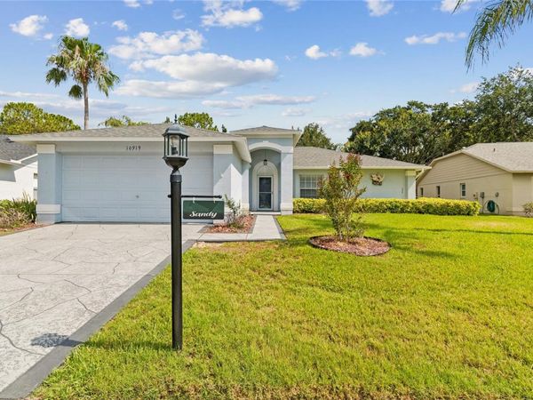 10919 TRELAIN WAY , HUDSON, FL 34667