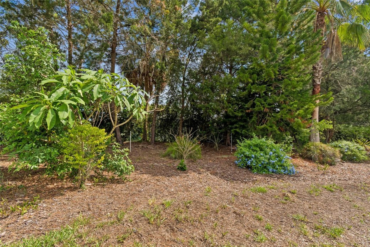 10919 Trelain Way, Hudson, FL 34667 Photo