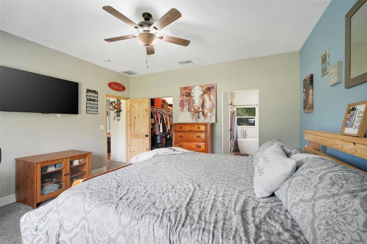 21301 Quail Hammock Lane, Groveland, FL 34736 Photo