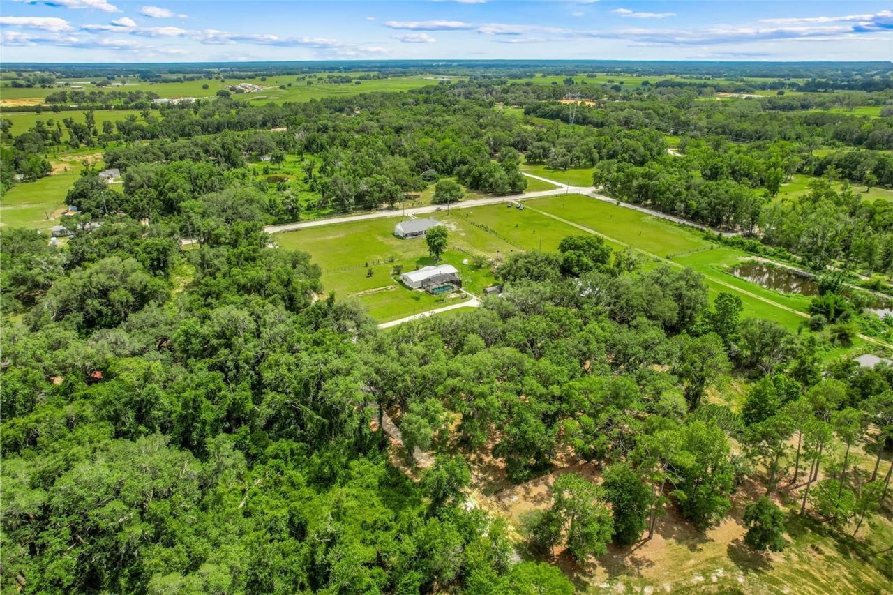21301 Quail Hammock Lane, Groveland, FL 34736 Photo
