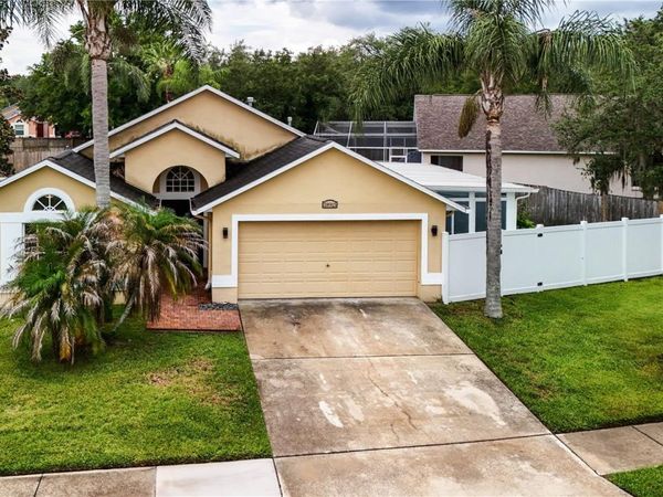18915 NEST FERN CIRCLE , TAMPA, FL 33647