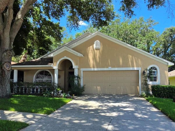 3049 BEAVER POND TRAIL , VALRICO, FL 33596