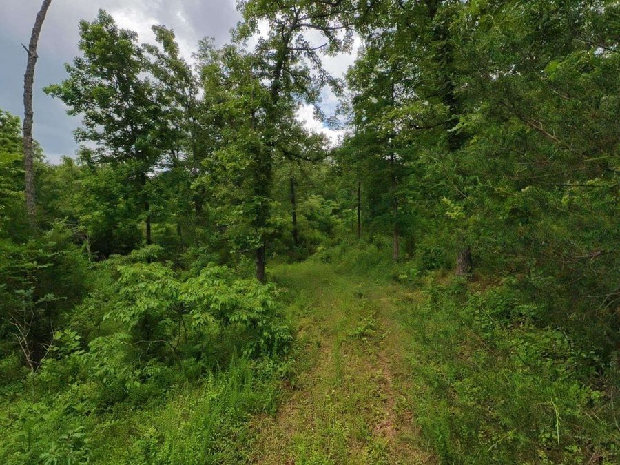 Property Image 17