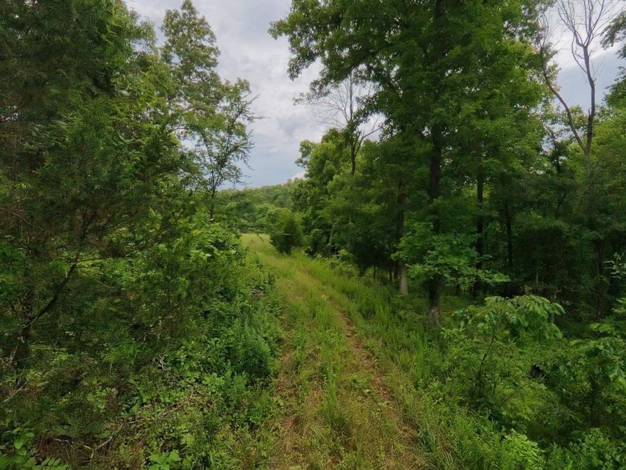 Property Image 18