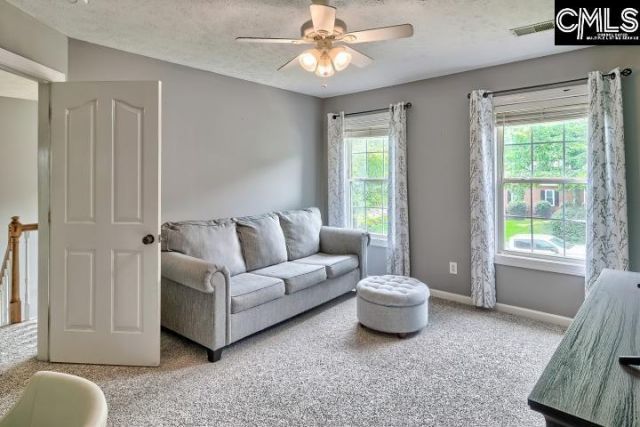 105 Leventis Lane  Photo 24