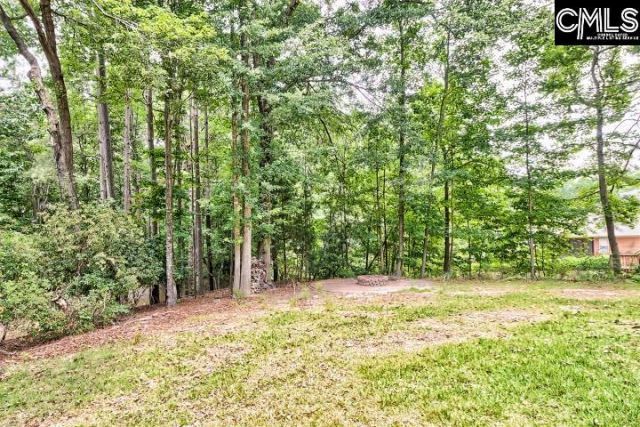 105 Leventis Lane  Photo 45