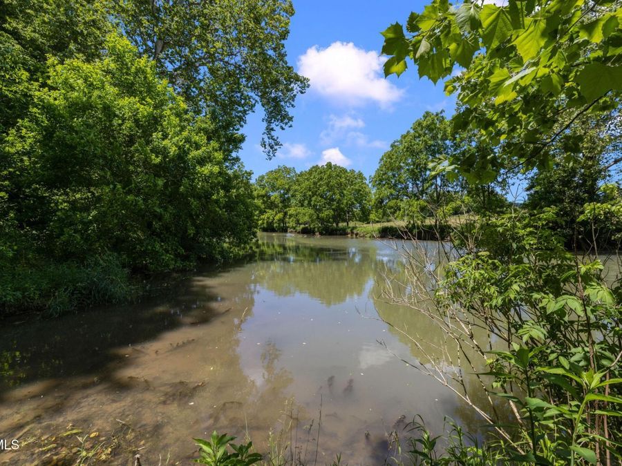 Property Image 78