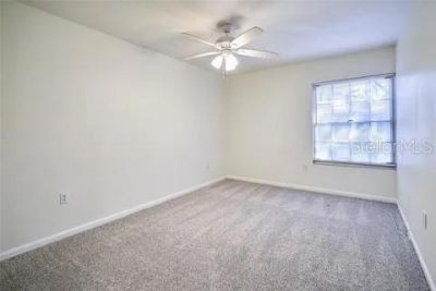 11713 Raintree Drive, Tampa, FL 33617 Photo