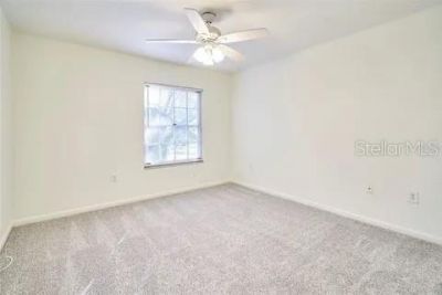 11713 Raintree Drive, Tampa, FL 33617 Photo