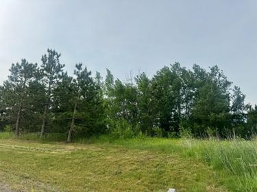 TBD Tract 3 County 13 , Nevis, MN 56467
