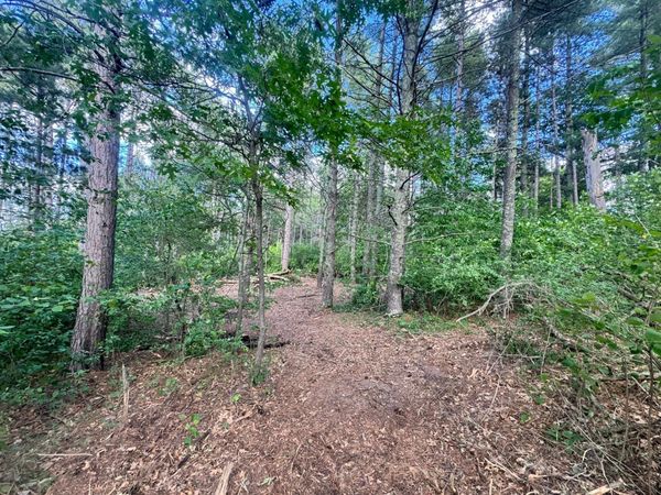 TBD Tract 1 County 13 , Nevis, MN 56467