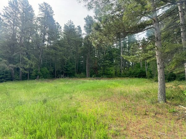 TBD Tract 1 County 13 , Nevis, MN 56467