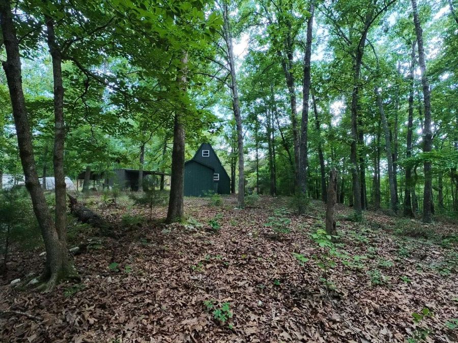 Property Image 30
