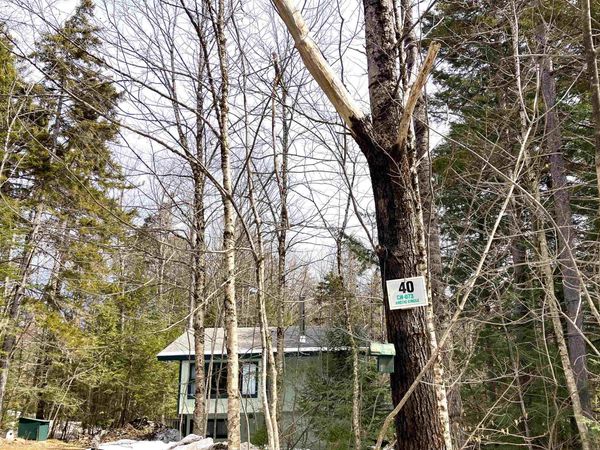 40 Arctic Circle, Unit M073, Wilmington, VT 05363